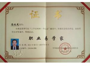 職業易學家